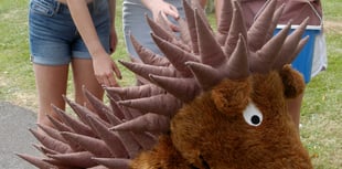 Ross celebrates one of the town’s emblems – the hedgehog
