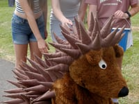 Ross celebrates one of the town’s emblems – the hedgehog