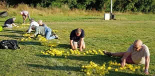 Ducks to race again in Ross