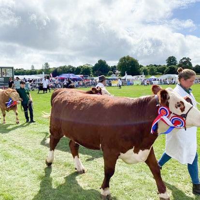A showcase for the best in rural life