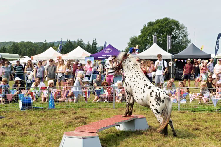 More than just a one-trick pony