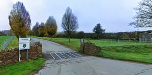 Safety failings at fruit grower’s yard