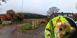 Homes refusal overturned