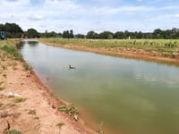Open day at canal near Newent