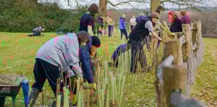Tree Council grant available
