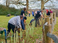 Tree Council grant available