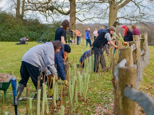 Tree Council grant available