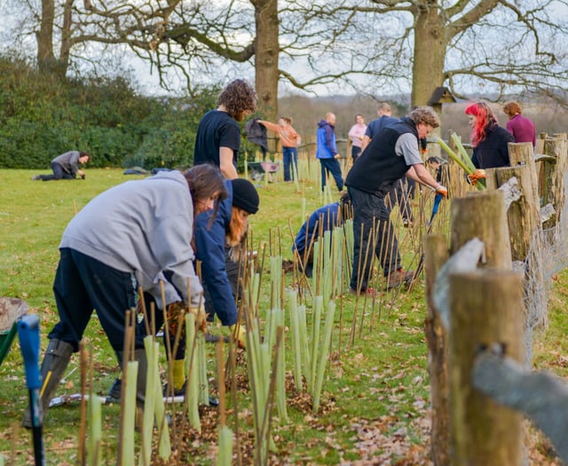 Tree Council grant available