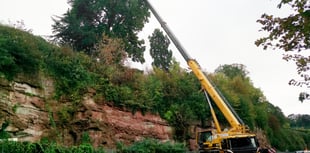 Dangerous cliff top tree became a health and safety risk