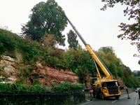 Dangerous cliff top tree became a health and safety risk