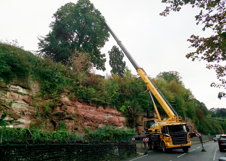 Cliff top tree rescue