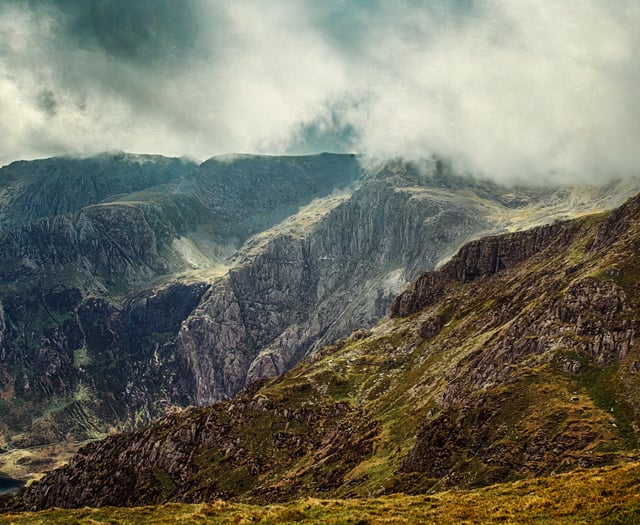 Latest successes from Ross Photo Club