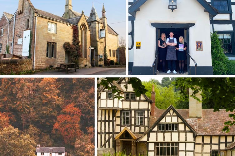Postcard effect of four businesses