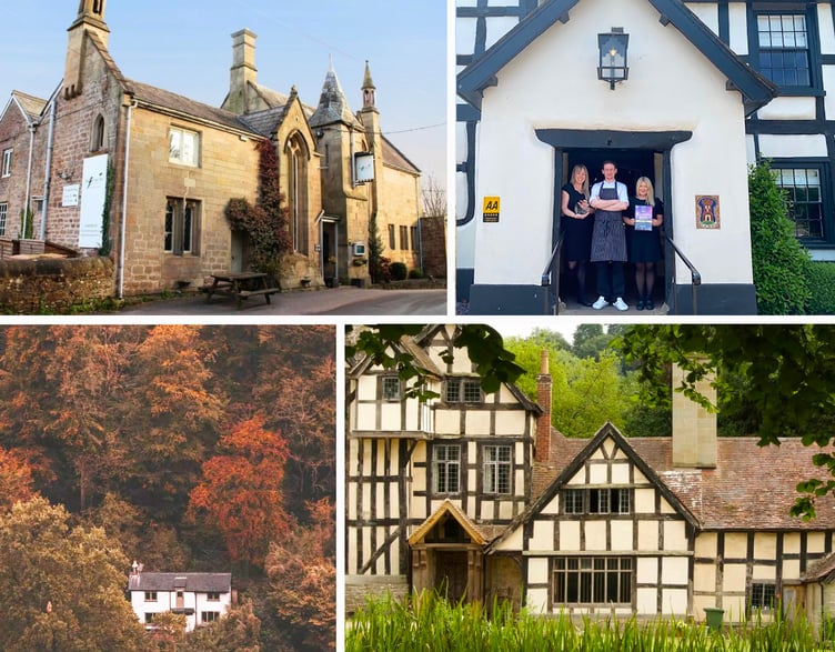 Postcard effect of four businesses