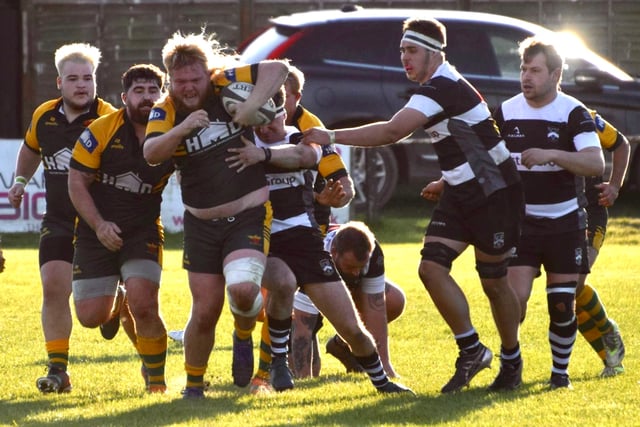 Green Army shoot down Ledbury in six-try show