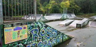 Community input sought for revamped Wilton Park skatepark