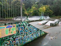 Community input sought for revamped Wilton Park skatepark
