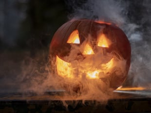 Half term activities return to Ross this October.