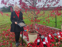 Cherry tree takes on prestigious role 