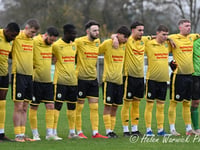 Daffs hit for six by Wantage
