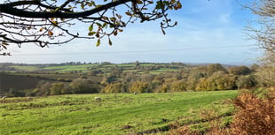 Planting begins for first new Forest extension in 200 years