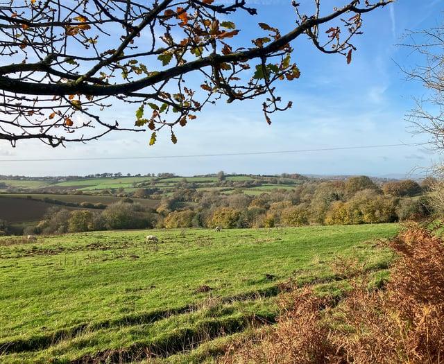 Planting begins for first new Forest extension in 200 years