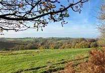 Planting begins for first new Forest extension in 200 years