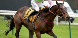 Royale Pagaille bids for National glory after L'Homme Press exit