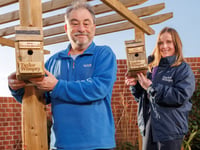 Housing developer teams up with Men’s Shed to create bird boxes