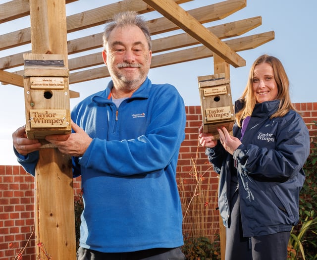 Housing developer teams up with Men’s Shed to create bird boxes
