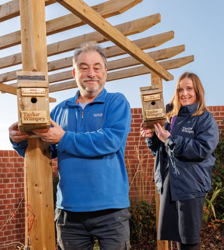 Bird box installation.