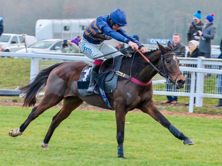 Djelo impressed again at Newbury. Archive photo: Great British Racing