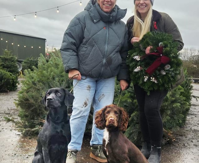Pets are an essential part of Christmas 