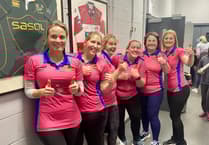 Sponsor would prove a hit for ladies cricket team