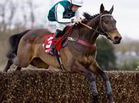 Venetia targets Gold Cup glory with stable duo