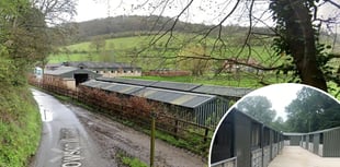 Racehorse trainer slammed over stables' growth