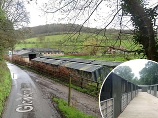Racehorse trainer slammed over stables' growth