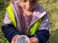 Three local projects benefit from George’s Fund grant