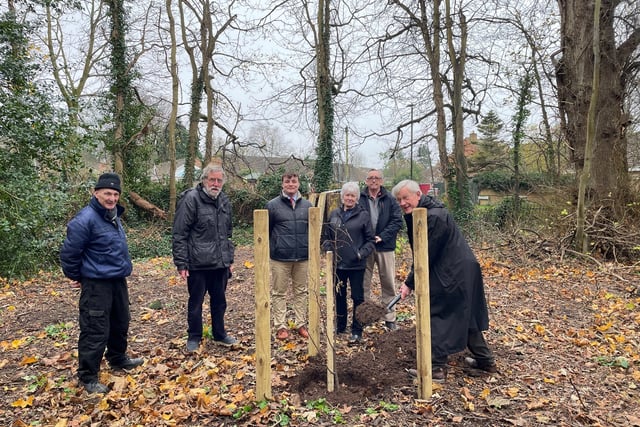 Tree planting celebrates 
beekeepers' anniversary