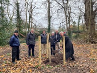 Tree planting celebrates beekeepers' anniversary