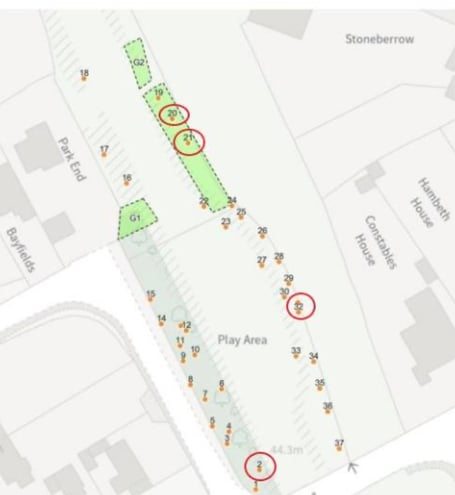 The site of the trees at Dymock