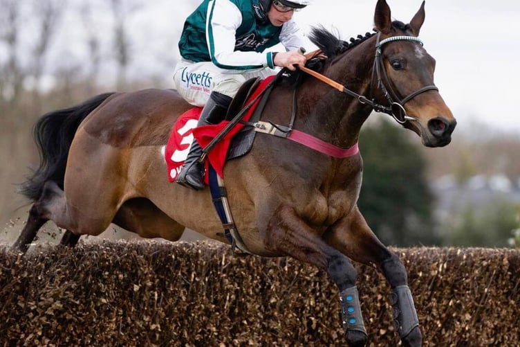 L'Homme Presse is out of the Gold Cup but may race the Grand National
