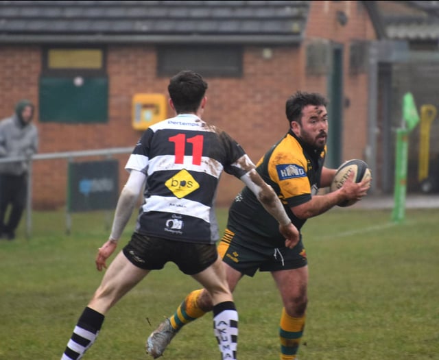 Green Army hit half century in 17th straight win