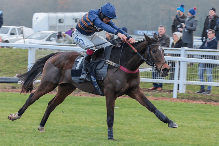 Djelo impressed again at Newbury. Archive photo: Great British Racing