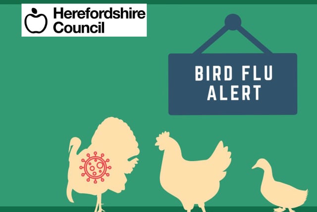 Enhanced measures being taken to help prevent the spread of Avian Flu 