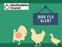 Enhanced measures being taken to help prevent the spread of Avian Flu 