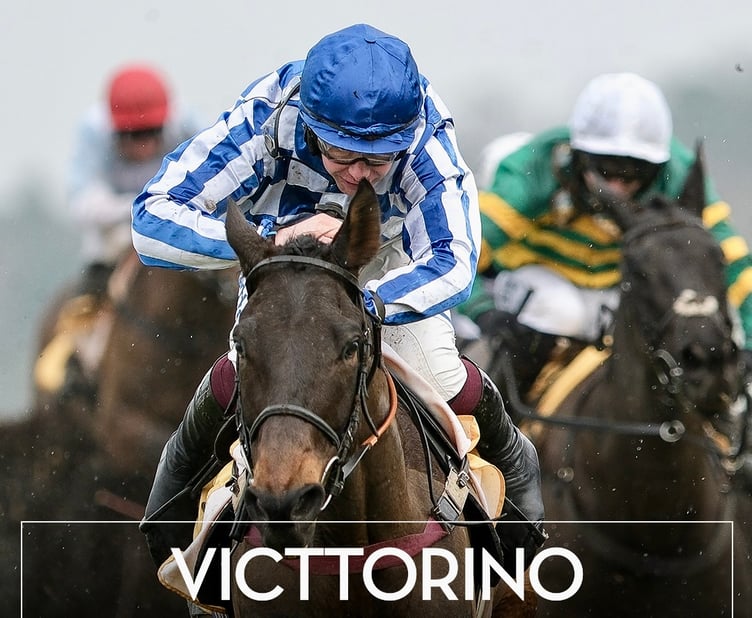 Victtorino under Charlie Deutsch won by a nose at Ascot in a thrilling race. Photo Ascot Racing
