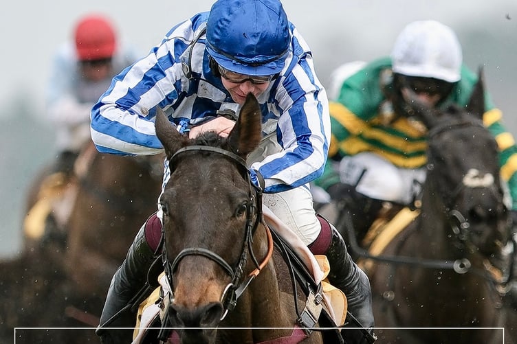 Victtorino under Charlie Deutsch won by a nose at Ascot in a thrilling race. Photo Ascot Racing