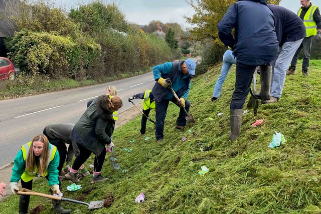 Dymock Daffodil Weekend starts Golden March festival