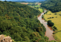 River Wye pollution denial from companies